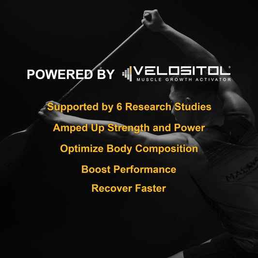 Plant-Based Sport Protein
