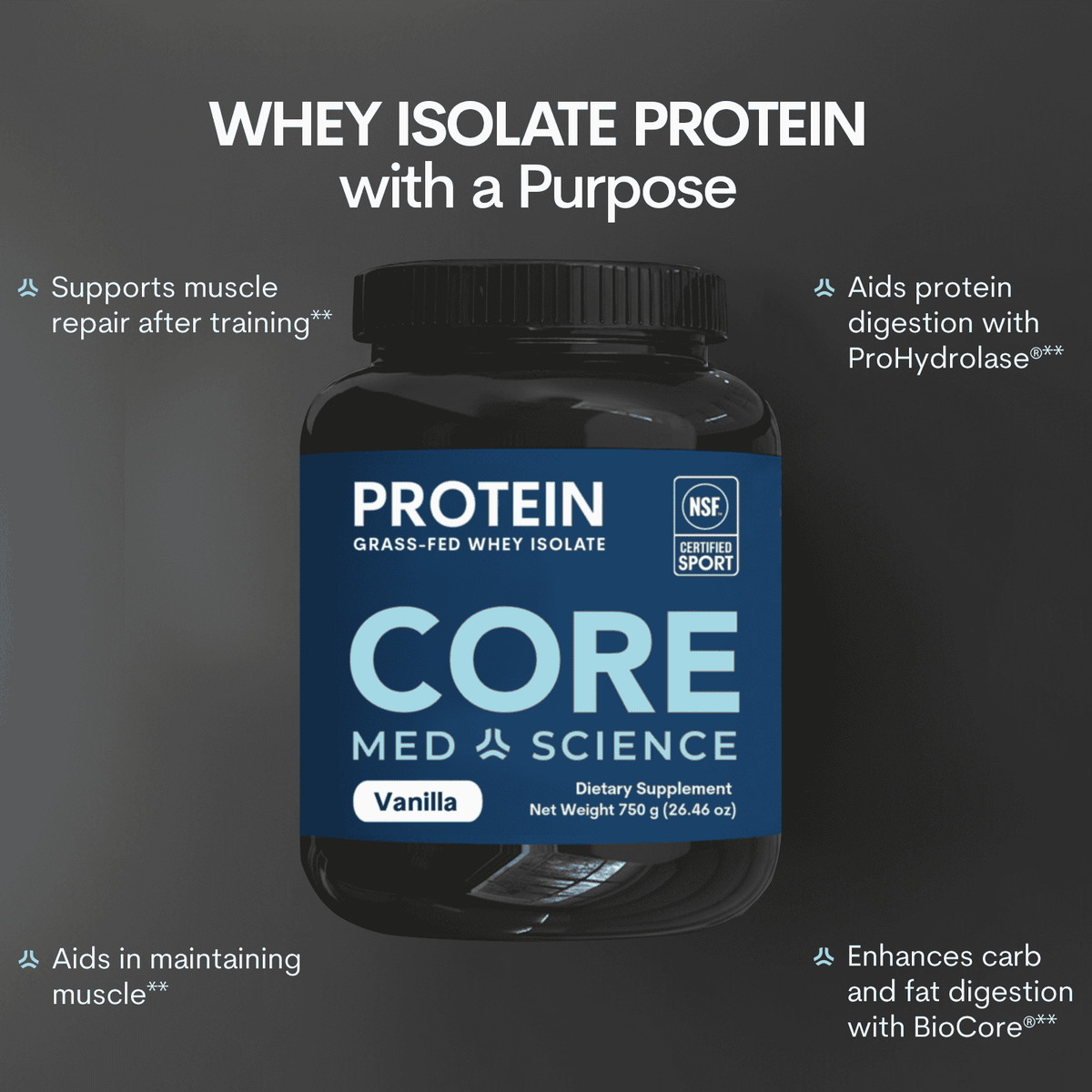 Vanilla Whey Protein Powder