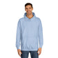 Wellness Wave Hoodie