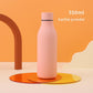 Stainless Steel Thermal Tea & Coffee Bottle