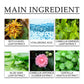Green Tea Moisturizing Facial Toner