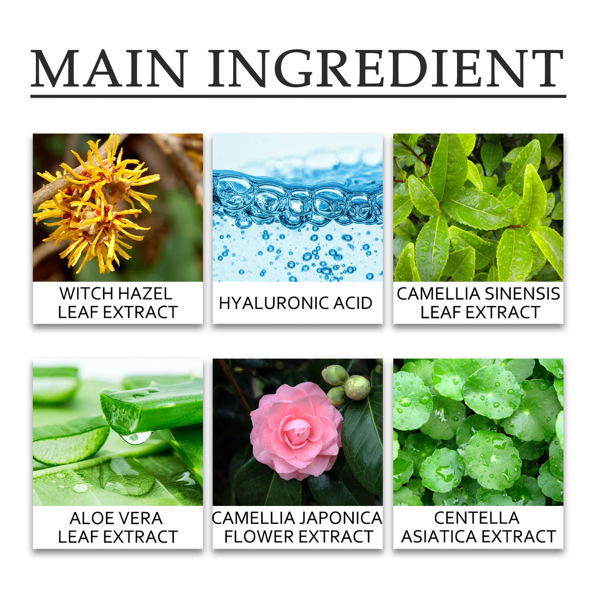 Green Tea Moisturizing Facial Toner