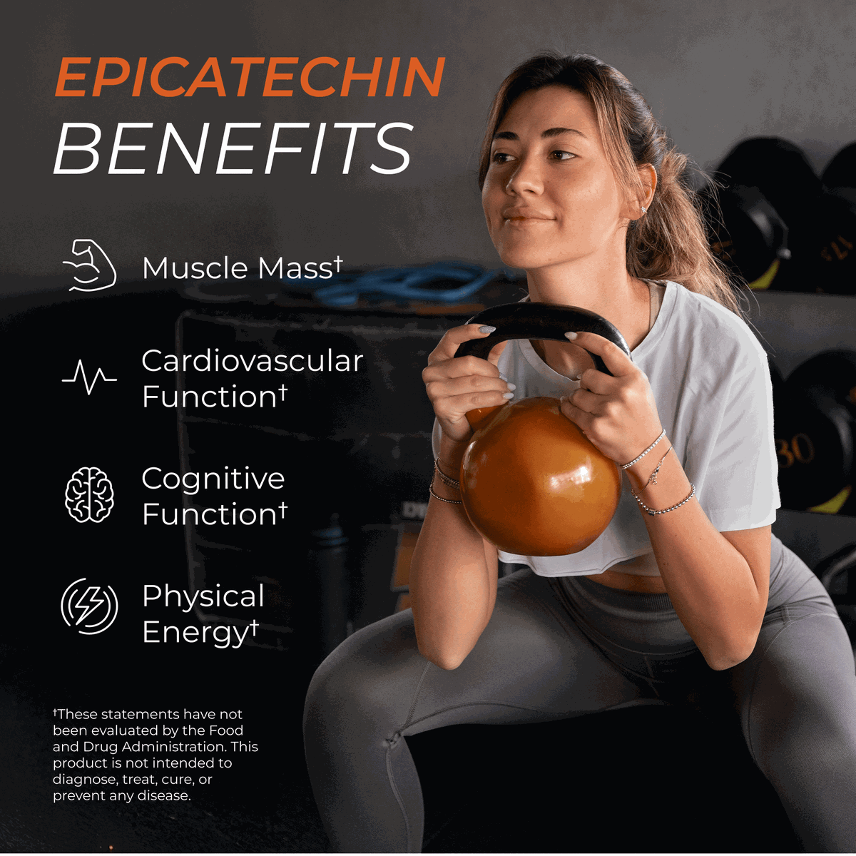 Epicatechin Daily Fitness Support Supplement