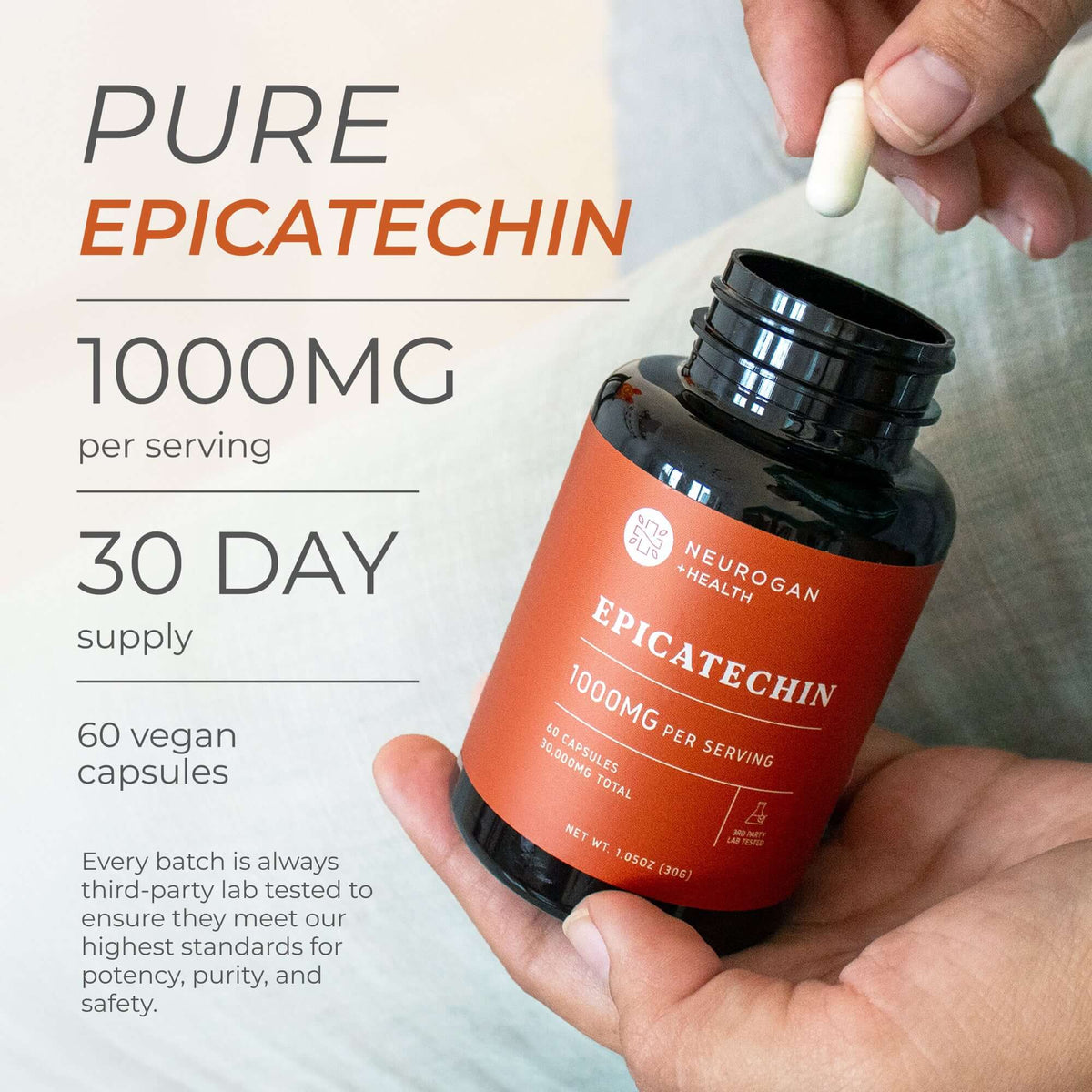 Epicatechin Daily Fitness Support Supplement