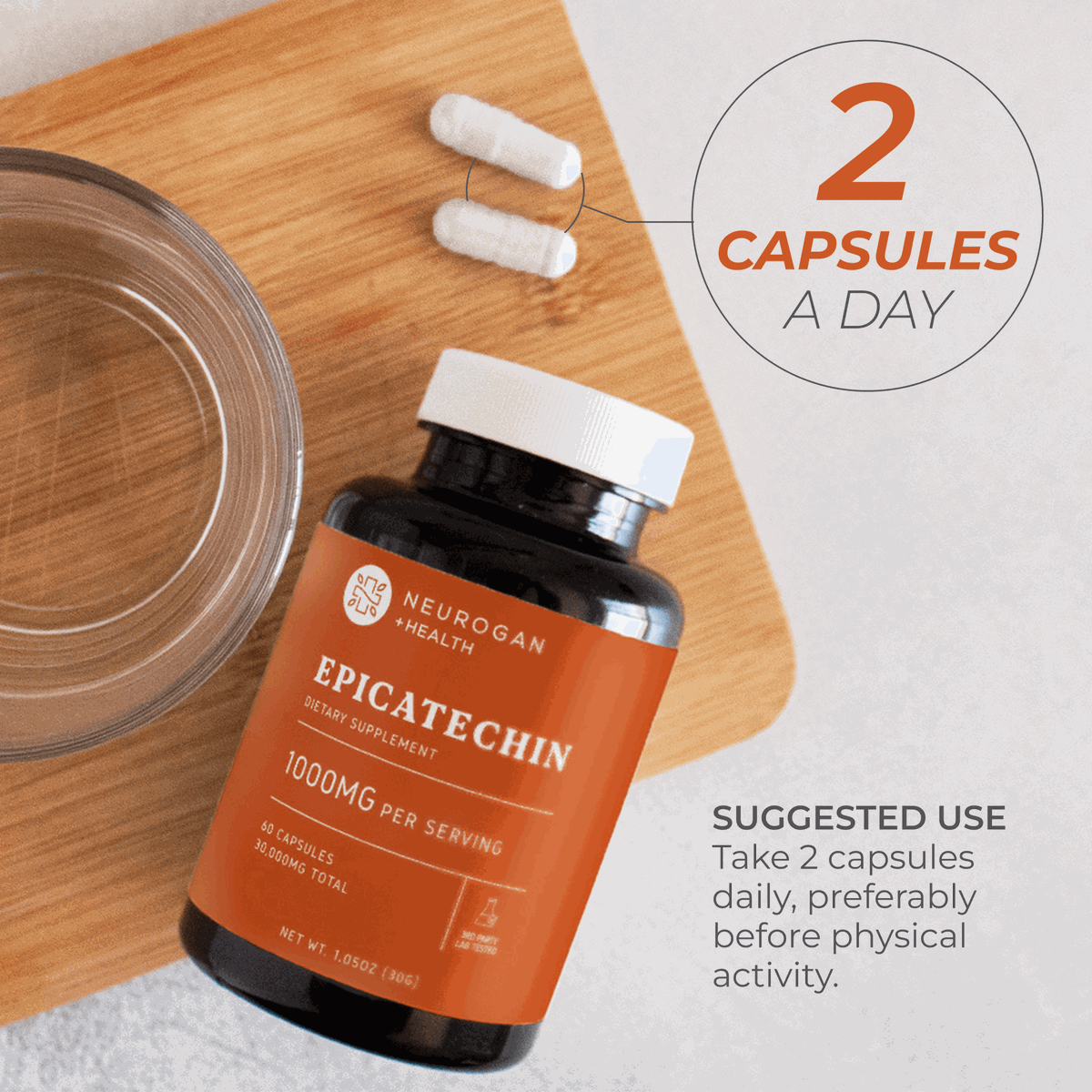 Epicatechin Daily Fitness Support Supplement