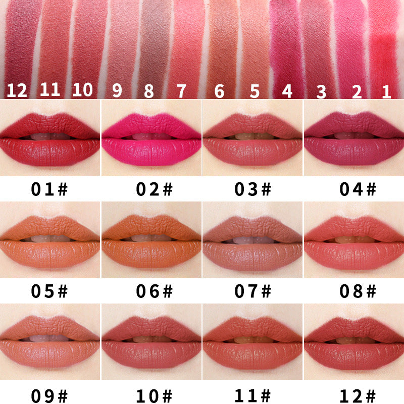 Small Square Tube Matte Moisturizing Lipstick