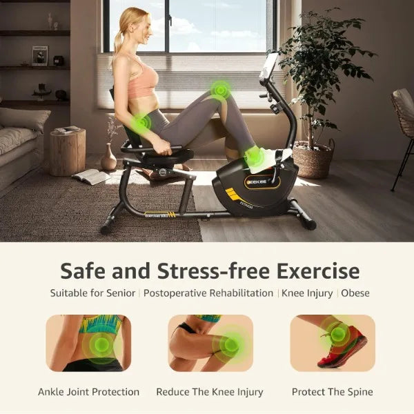 Recumbent Magnetic Exercise Bike
