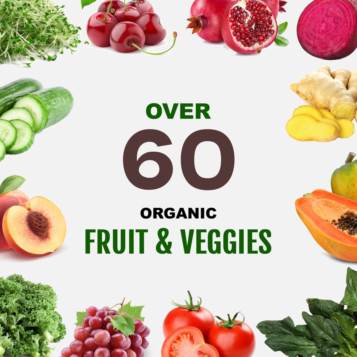 Plant-Based Sport Protein