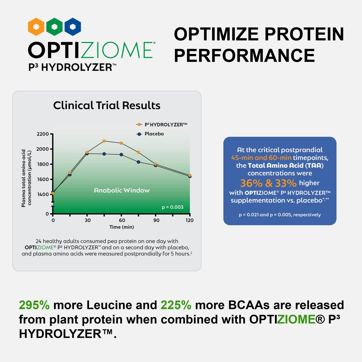 Plant-Based Sport Protein