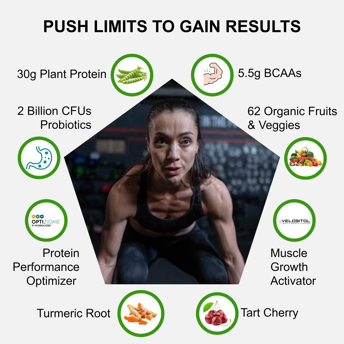 Plant-Based Sport Protein