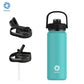 Insulated Water Bottle with Straw Lid