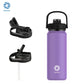 Insulated Water Bottle with Straw Lid